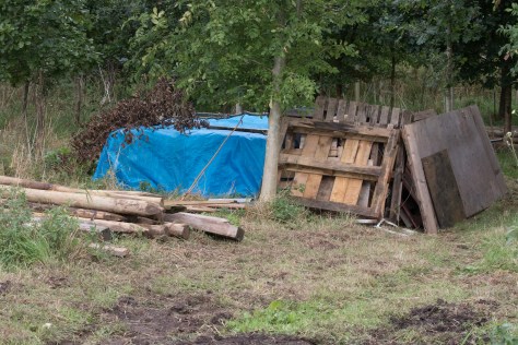 stewart-delivers-ii-0383