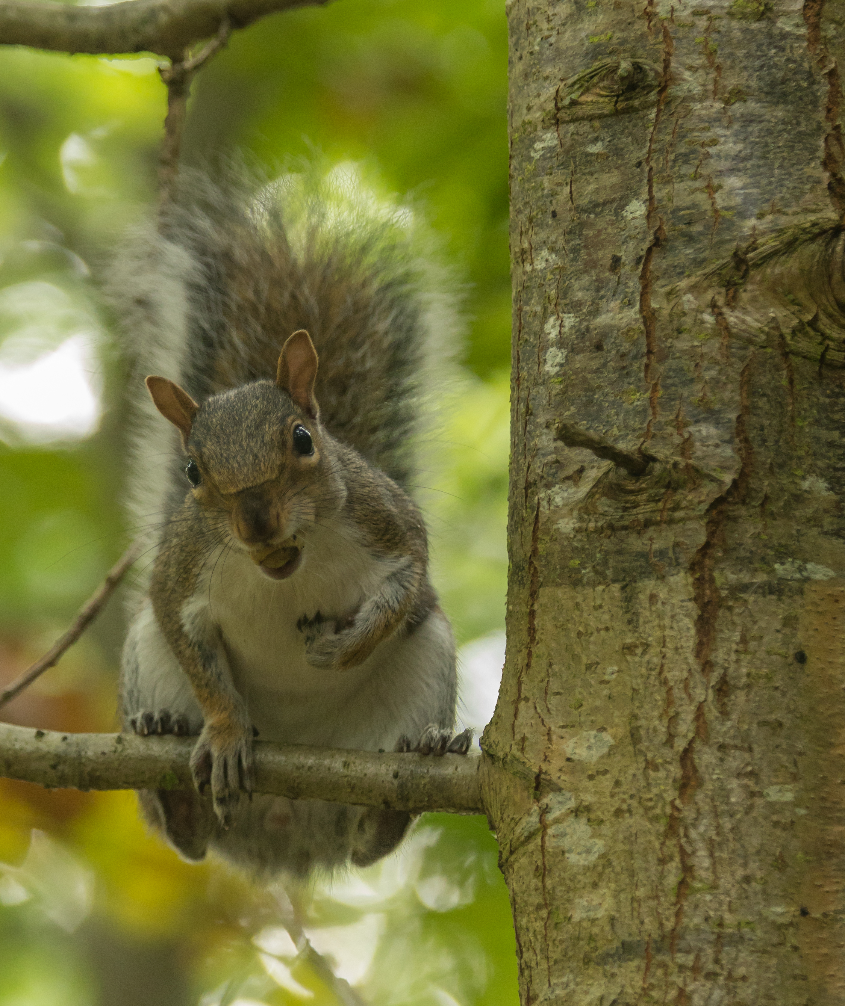 branch meeting (1 of 1)