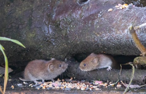 heres looking at you kid-7773