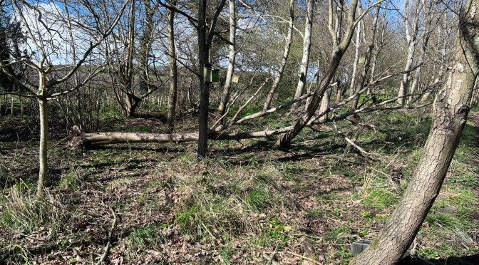 Storm Dave takes its toll